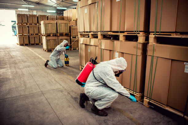 Best Mosquito Control Services  in Cinco Ranch, TX