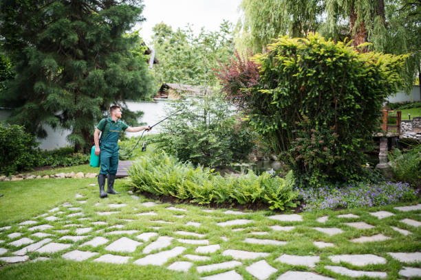 Best Commercial Pest Control Services  in Cinco Ranch, TX