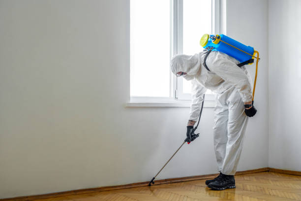 Wildlife Control Services in Cinco Ranch, TX