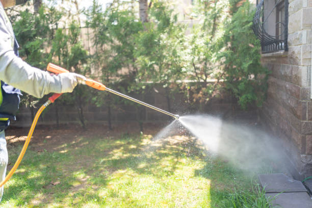 Best Wildlife Control Services  in Cinco Ranch, TX