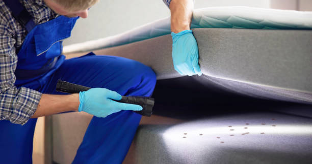 Best Pest Removal Services  in Cinco Ranch, TX