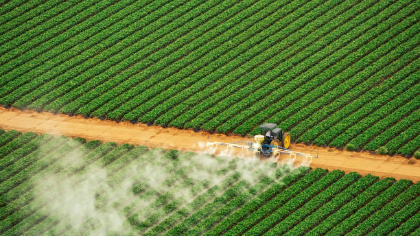 Best Commercial Pest Control Services  in Cinco Ranch, TX