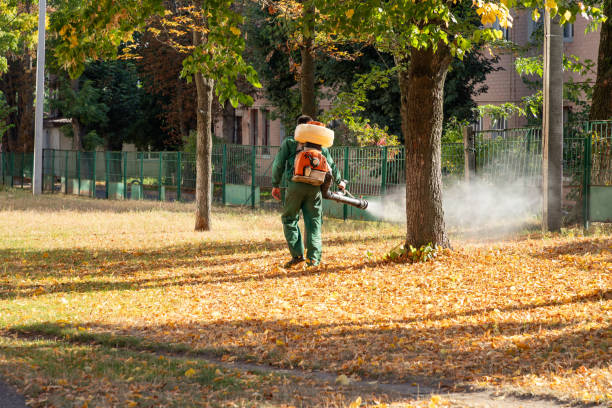 Pest Control Cost in Cinco Ranch, TX