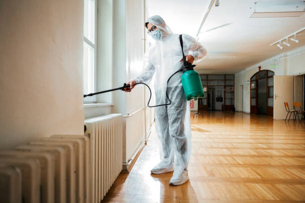 Best Pest Removal Services  in Cinco Ranch, TX
